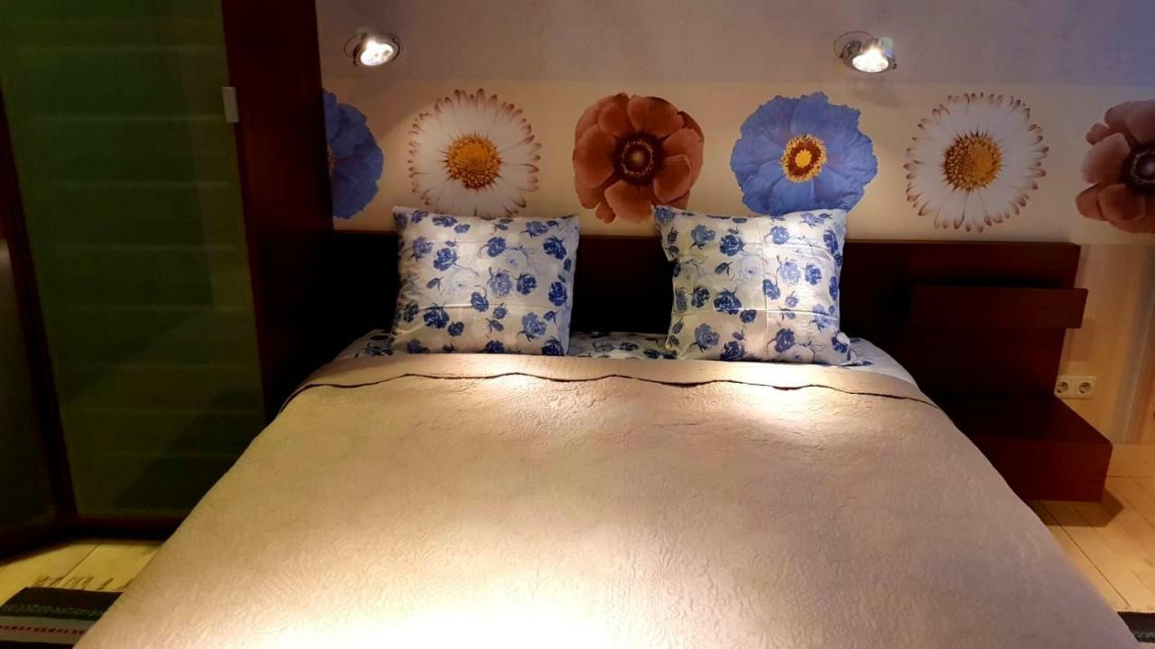 דירות דאוגבפילס Fuksija House מראה חיצוני תמונה